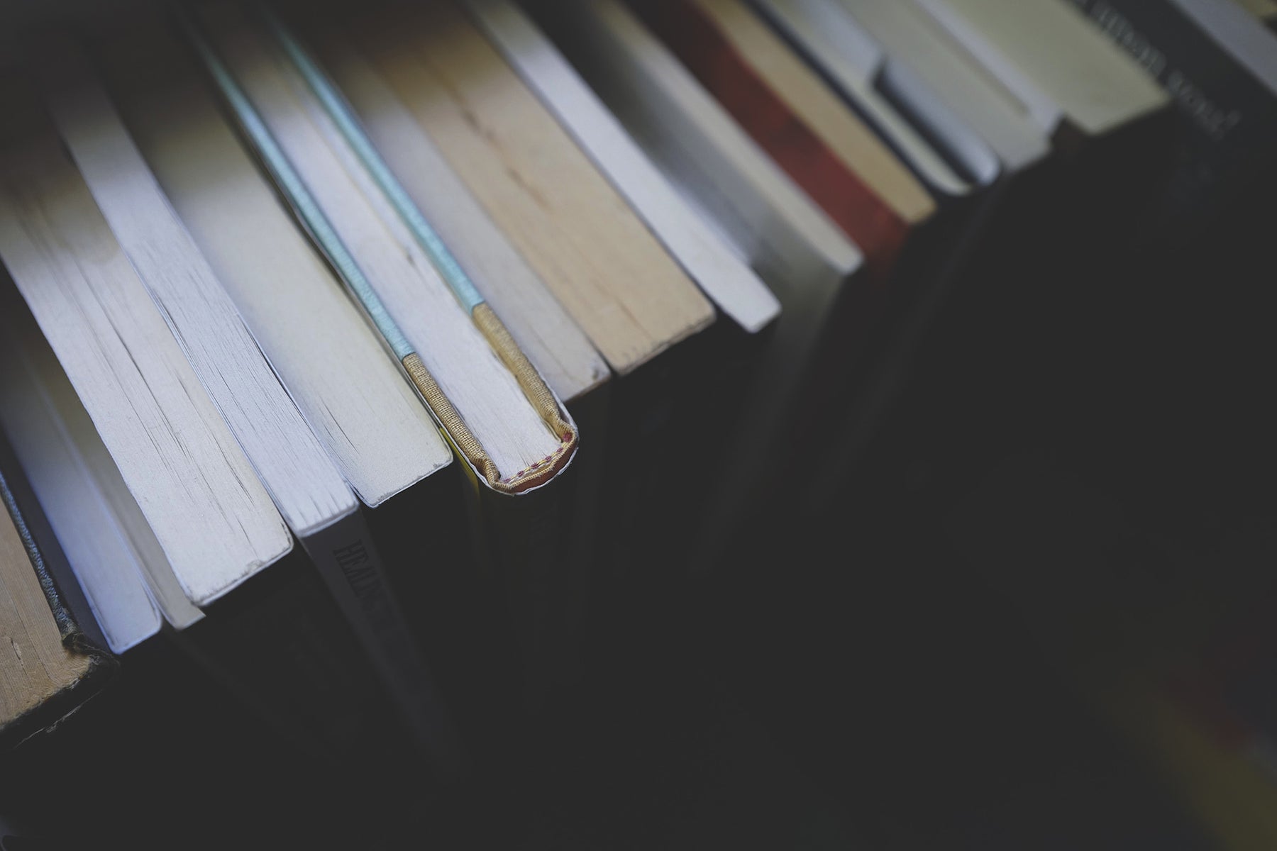 Reader Spotlight: R