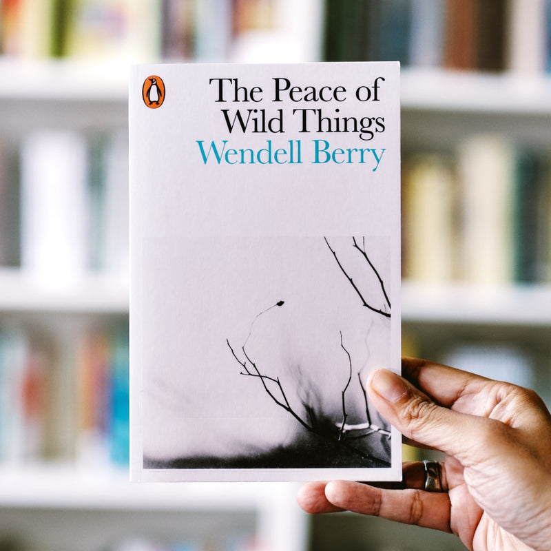 The Peace of Wild Things and Other Poems